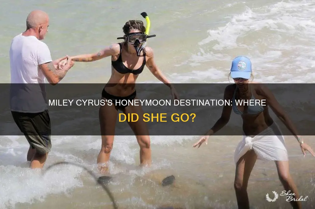 where is miley cyrus honeymooning