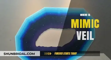 Unveiling the Mystery: Where to Find the Elusive Mimic Veil