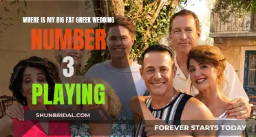 Big Fat Greek Wedding 3" Plays in Theaters and Homes Alik