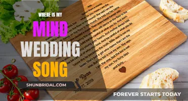 Mind-Melting Wedding Song: Where Is My Mind?