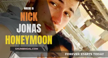 Nick Jonas' Honeymoon: A Journey of Love and Adventure