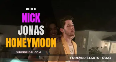 Honeymoon Hideaway: Nick Jonas' Tropical Escape