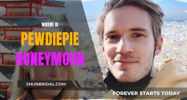 Honeymoon Hotspot: Where PewDiePie and Marzia Vacationed