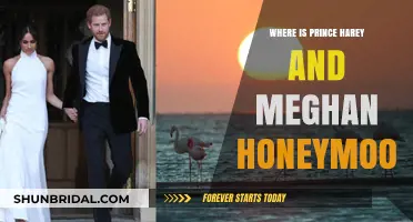 Prince Harry and Meghan's Honeymoon Destination: Where Did They Go?
