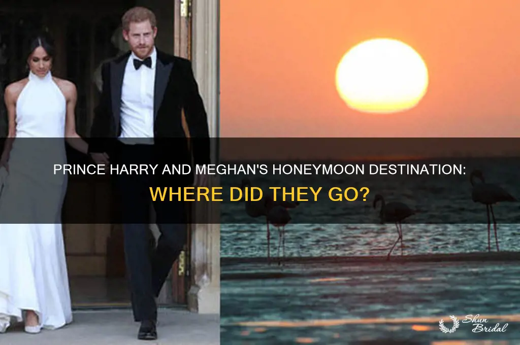 where is prince harey and meghan honeymoon