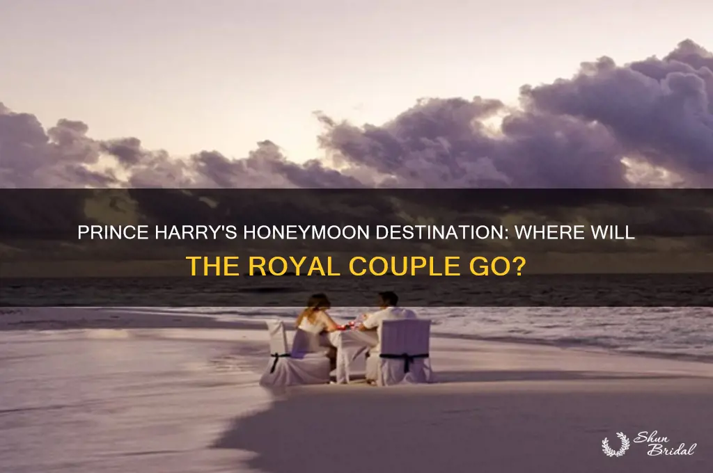 where is prince harry