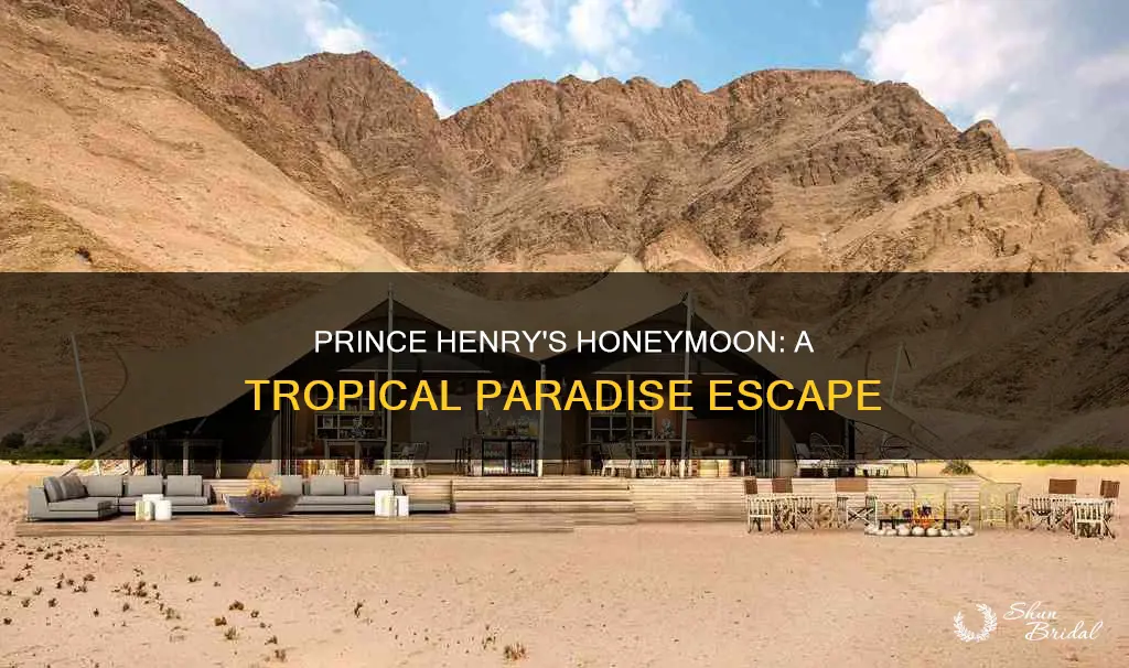 where is prince henry honeymooning