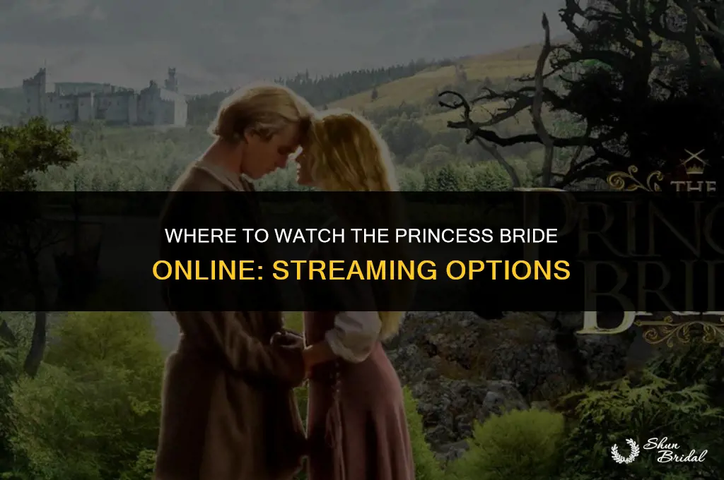where is princess bride streaming