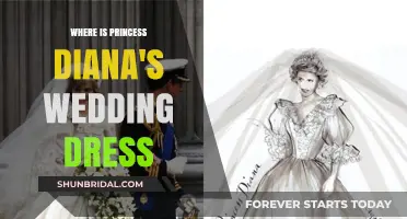 Princess Diana's Wedding Dress: Current Location Revealed