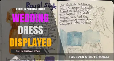 Princess Diana's Wedding Dress: A Display of Elegance