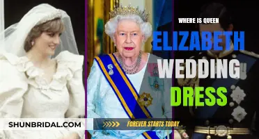 The Queen's Wedding Dress: A Royal Mystery