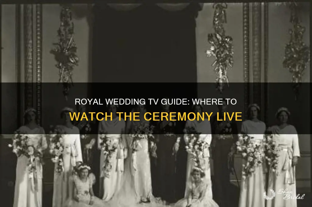 where is royal wedding on television