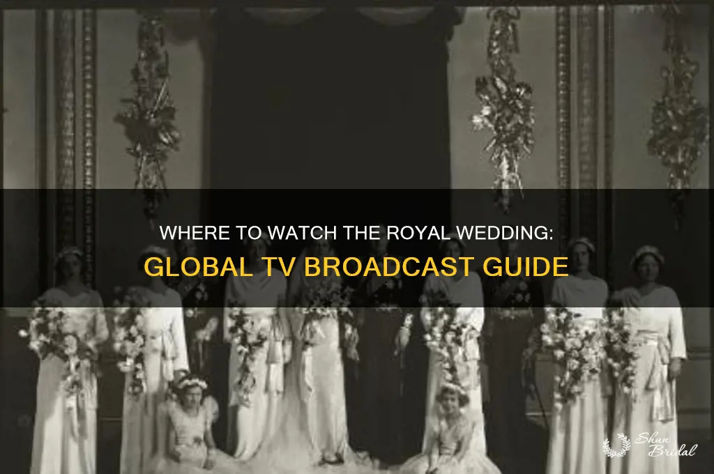 where is royal wedding televised