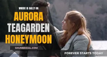 Sally's Honeymoon: Aurora Teagarden Mystery