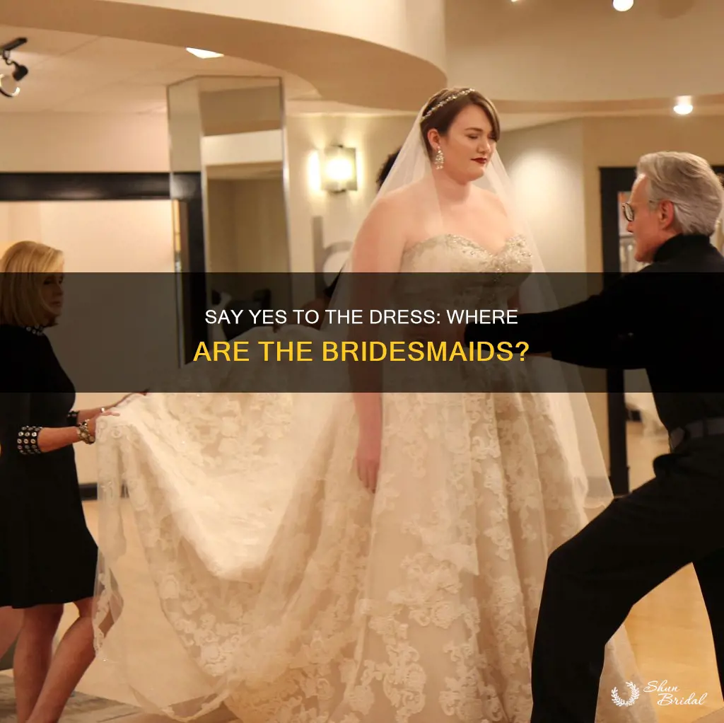 where is say yes to the dress bridesmaids filmed