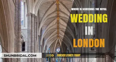 Where to Watch the Royal Wedding Live in London
