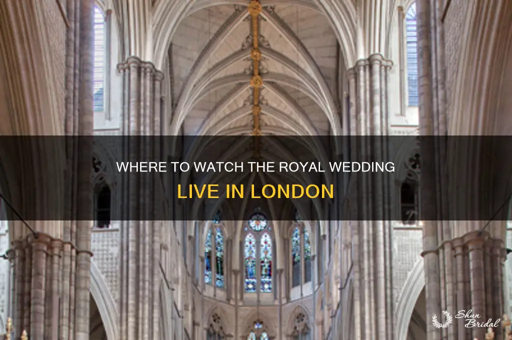 where is screening the royal wedding in london