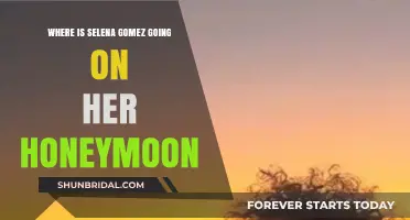 Selena Gomez's Honeymoon Destination: Where Will She Celebrate Her Love?
