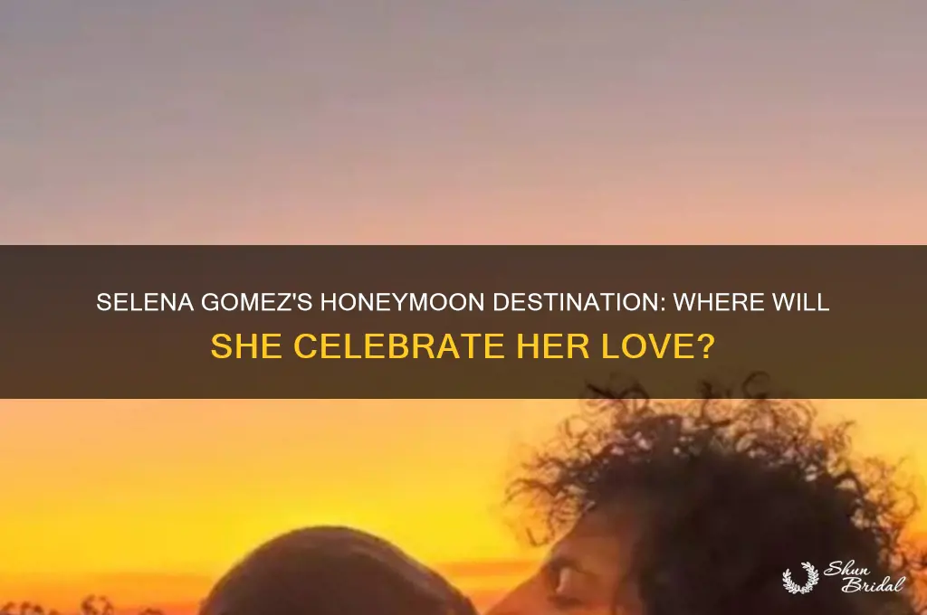 where is selena gomez going on her honeymoon