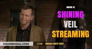 Where to Stream Shining Veil: A Comprehensive Guide