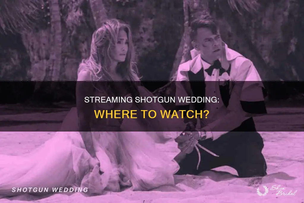 where is shotgun wedding streaming