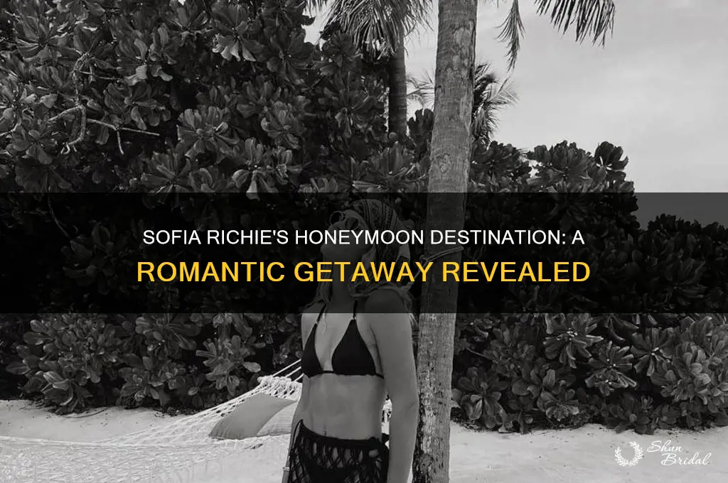 where is sofia richie honeymoon