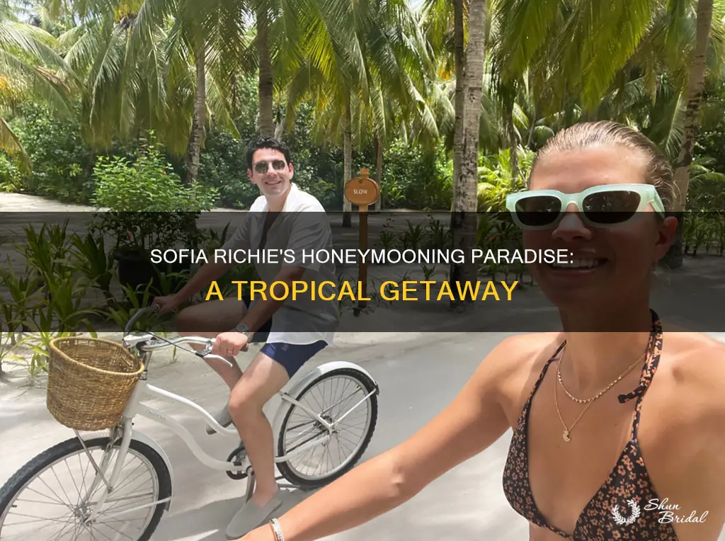 where is sofia richie honeymooning