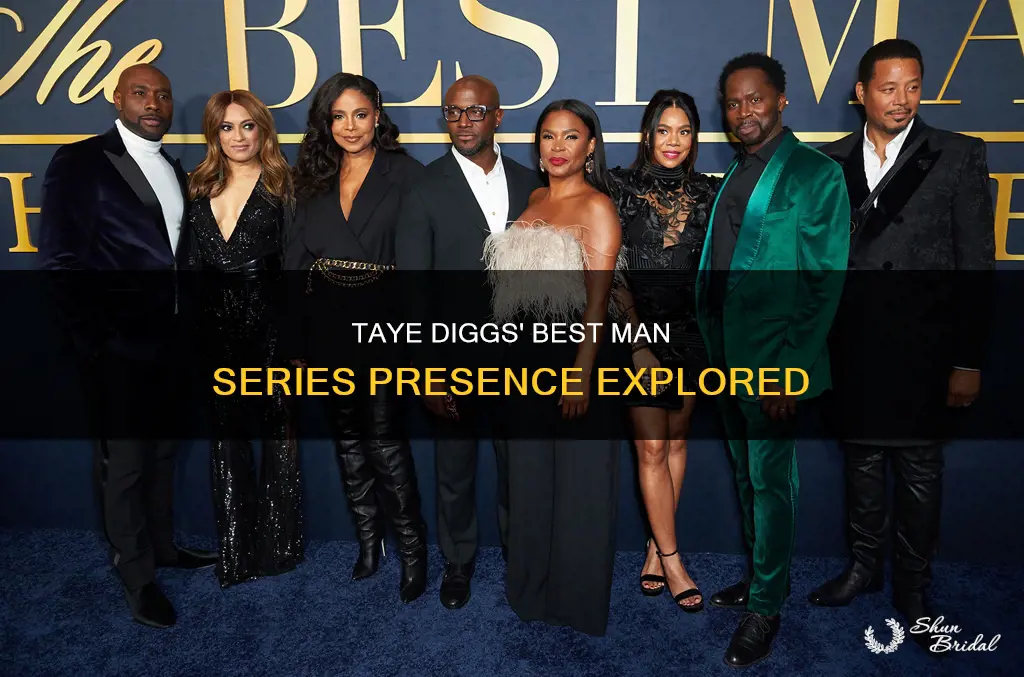 where is taye diggs on the best man series