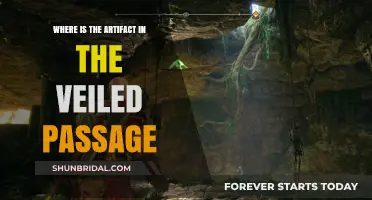 Unveiling the Mystery: Locating the Artifact in Veiled Passage
