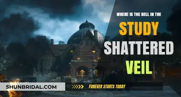 Unveiling the Bell's Location in the Study: Shattered Veil Mystery