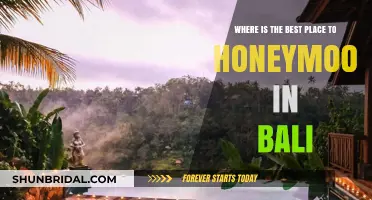 Bali Honeymoon Bliss: Top Romantic Destinations for Newlyweds