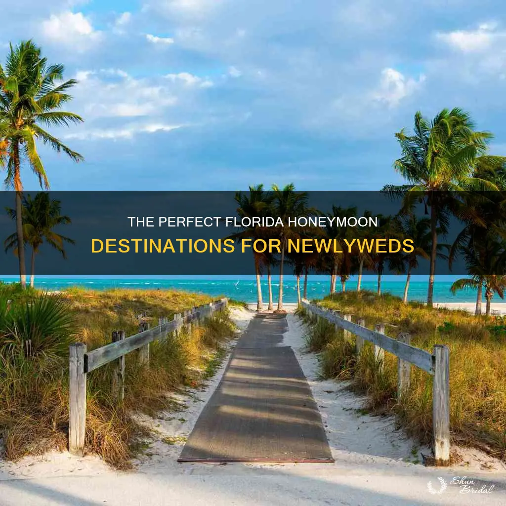 where is the best place to honeymoon in Florida