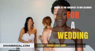 Budget-Friendly Wedding Alcohol: Where to Buy Alchoco at the Lowest Price
