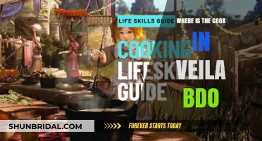 Finding the Cook in Veila: BDO Location Guide