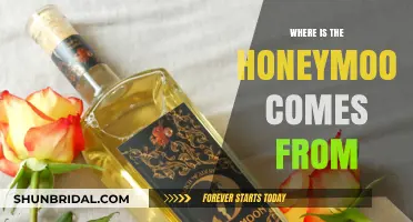 Unveiling the Romantic Origins of the Honeymoon Tradition