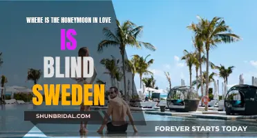 Love Is Blind Sweden: Where's the Honeymoon?