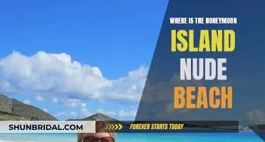 Honeymoon Island's Secret Nude Beach: Where to Go?