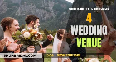 Love is Blind: Where Will Season 4 Tie the Knot?
