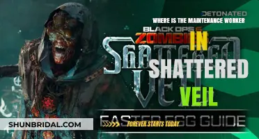 Finding the Maintenance Worker in Shattered Veil: A Guide