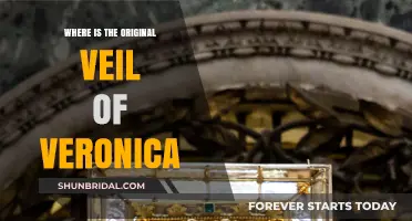 The Elusive Veil of Veronica: Unraveling Its Mysterious Original Location