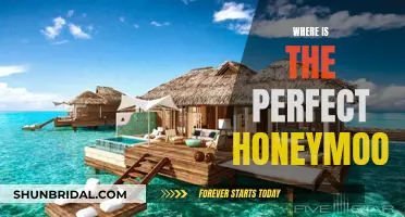 The Perfect Honeymoon: Tropical Paradise or Mountain Escape?