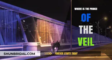 Unveiling the Mystery: Where is the Prince of the Veil?