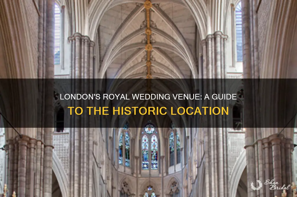 where is the royal wedding in london