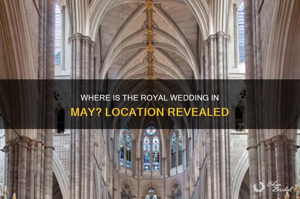 where is the royal wedding in may