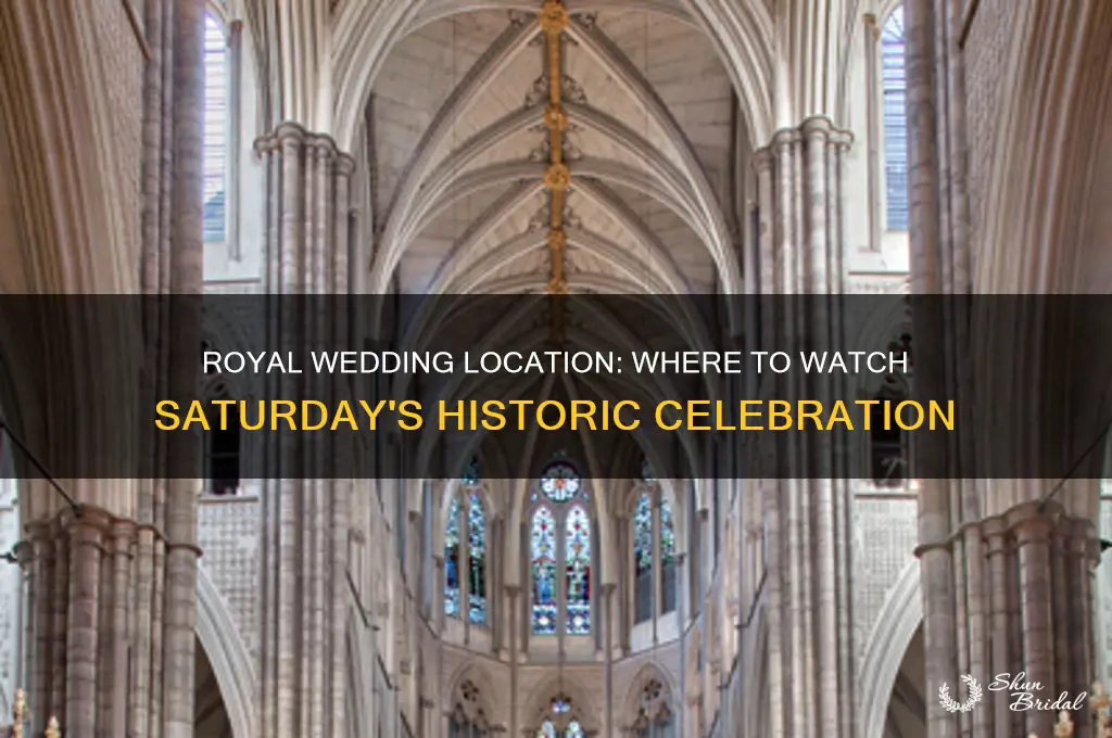 where is the royal wedding on saturday