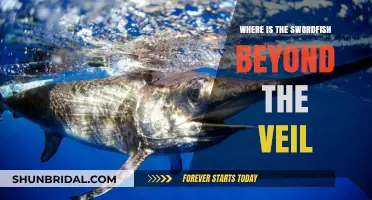 Unveiling the Mystery: Where Does the Swordfish Reside Beyond the Veil?
