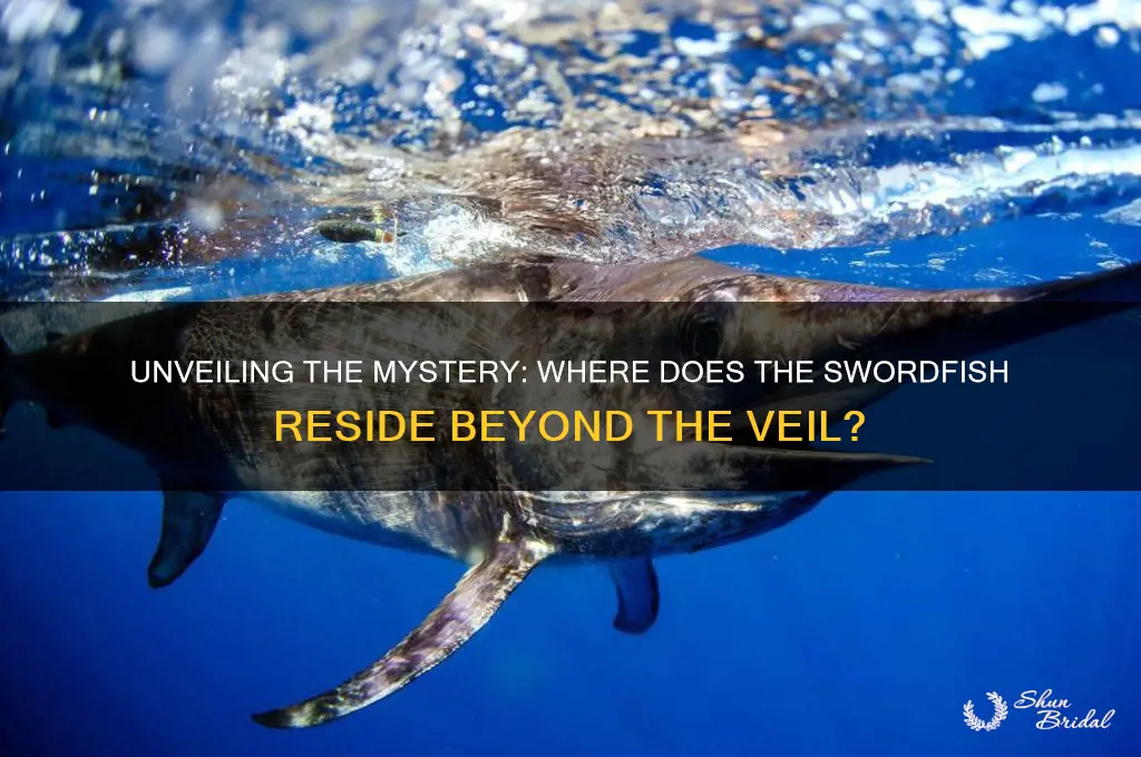 where is the swordfish beyond the veil