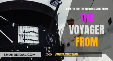 The Voyager's Wedding Song: Origin and Influence