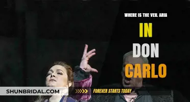 Discovering the Veil Aria's Location in Verdi's Don Carlo