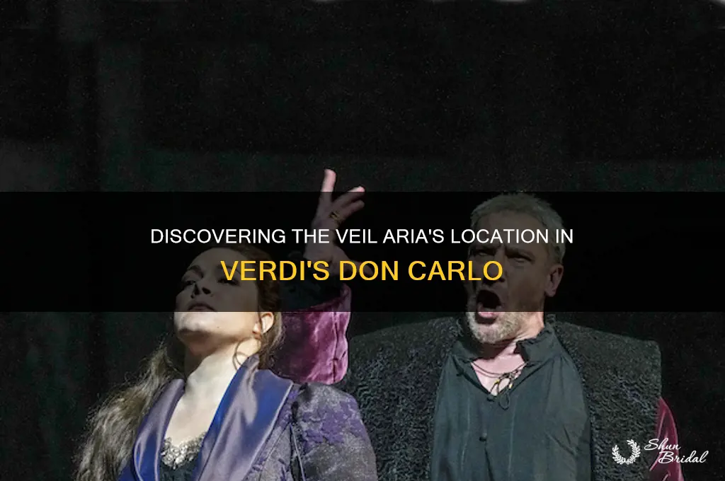 where is the veil aria in don carlo